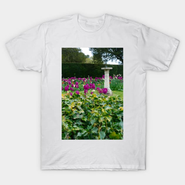 Country garden T-Shirt by RichardGibb